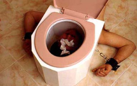 toilet slave fetish phone sex no taboo